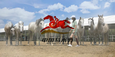 2020年中國馬術(shù)節(jié)全新LOGO設(shè)計(jì)正式官宣